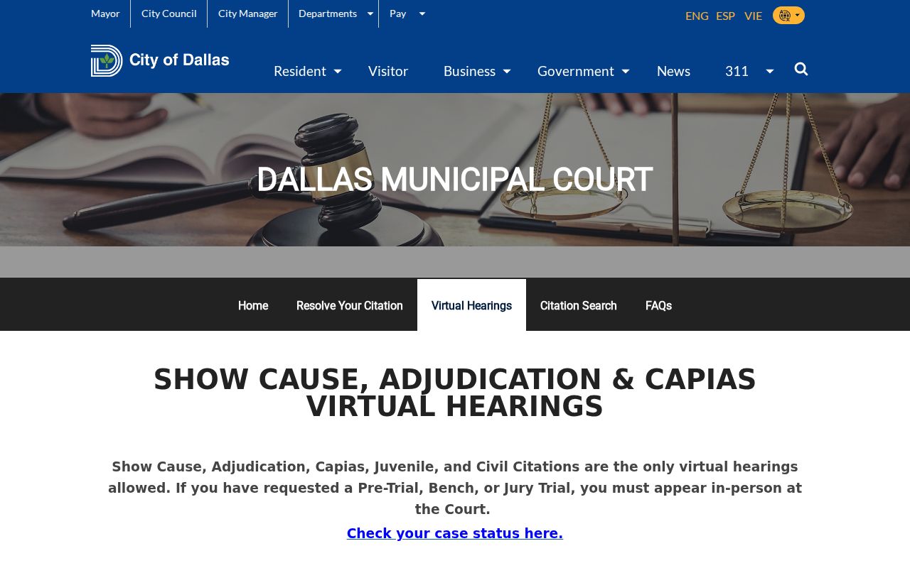 Dallas court docket virtual hearing categories